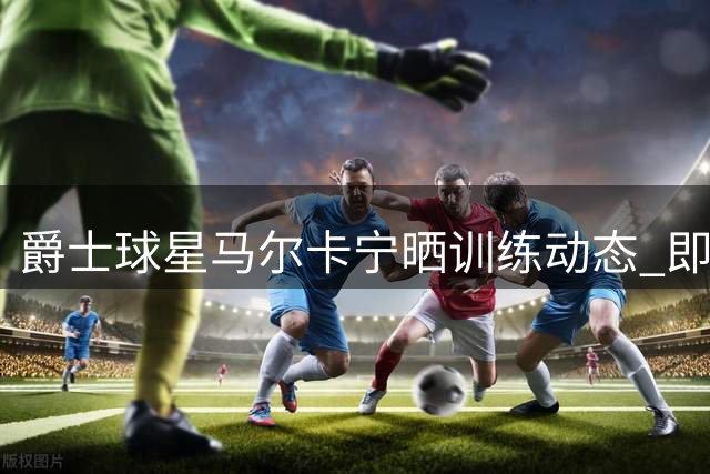 爵士球星马尔卡宁晒训练动态 即将迎来职业生涯第十年